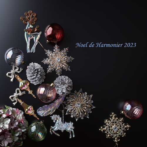 【Noel de Harmonier 2023 】クリスマス展示会人気アイテム特集　