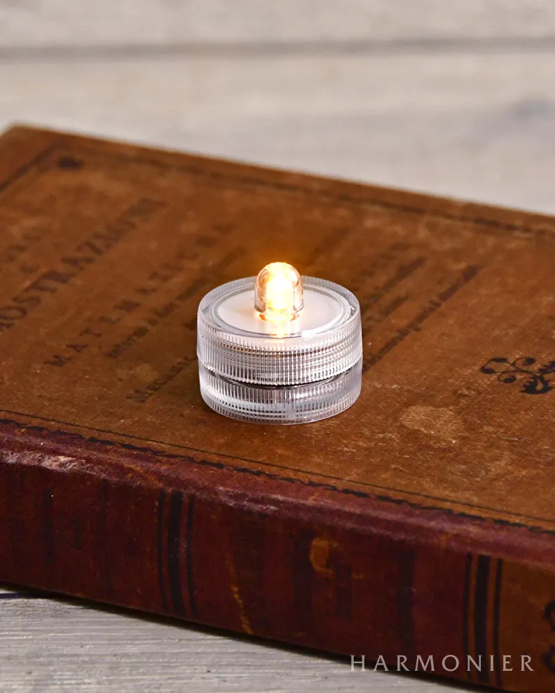 WebStore限定】インセンスハウス/イーストサイドハウス お香&LED